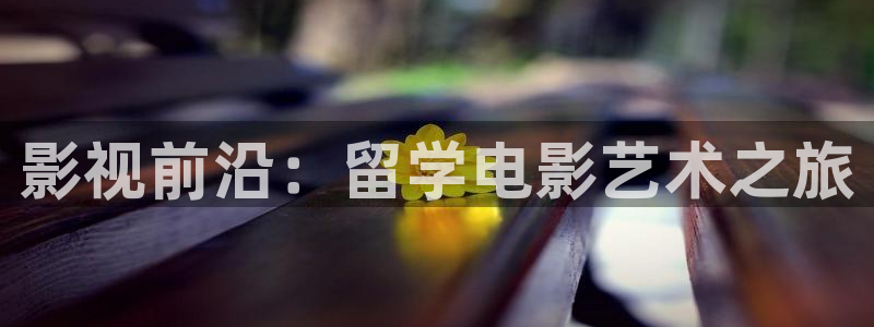 木瓜在线：影视前沿：留学电影艺术之旅
