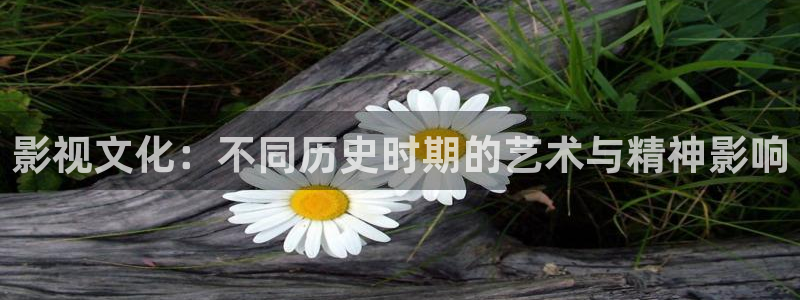 木瓜成人影院：影视文化：不同历史时期的艺术与精神影响