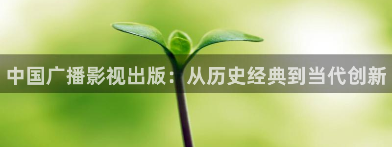 木瓜影视电视剧：中国广播影视出版：从历史经典到当代创新