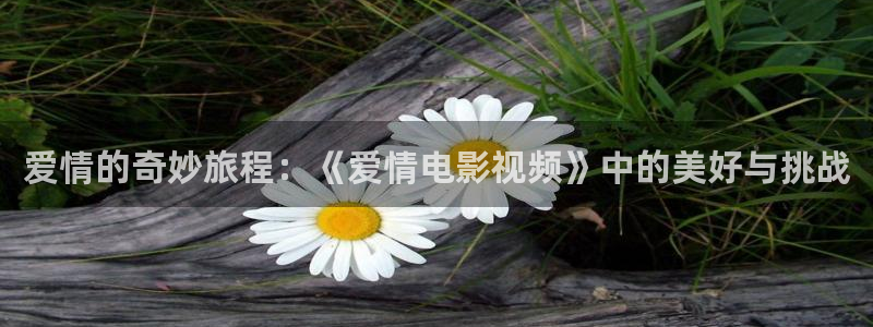 木瓜午夜影视：爱情的奇妙旅程：《爱情电影视频》中的美好与挑战