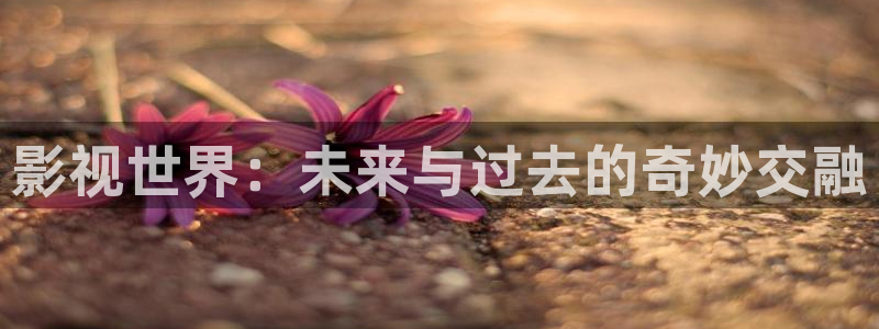 木瓜可以：影视世界：未来与过去的奇妙交融