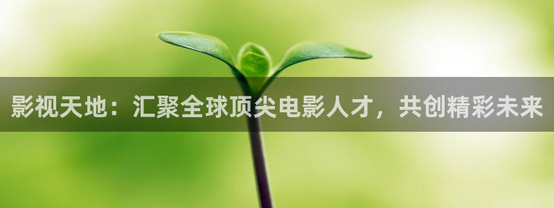 木瓜影院午夜：影视天地：汇聚全球顶尖电影人才，共创精彩未来